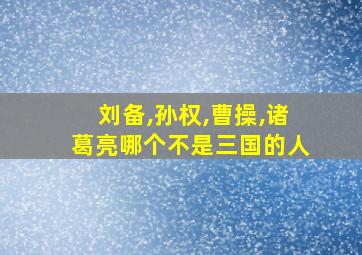 刘备,孙权,曹操,诸葛亮哪个不是三国的人