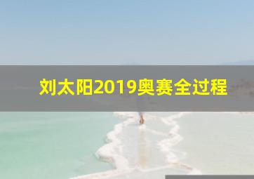 刘太阳2019奥赛全过程