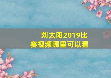 刘太阳2019比赛视频哪里可以看