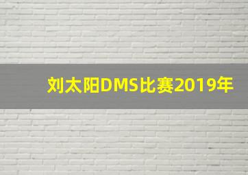 刘太阳DMS比赛2019年