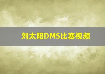 刘太阳DMS比赛视频