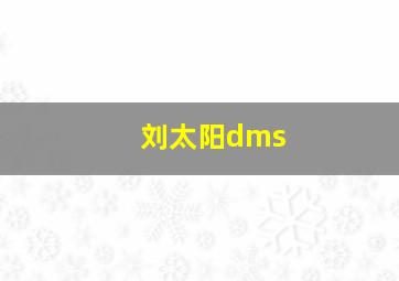 刘太阳dms