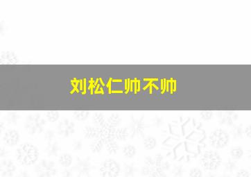 刘松仁帅不帅