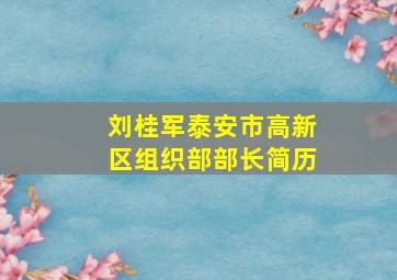 刘桂军泰安市高新区组织部部长简历