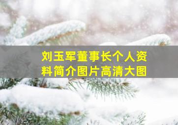 刘玉军董事长个人资料简介图片高清大图