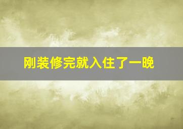 刚装修完就入住了一晚