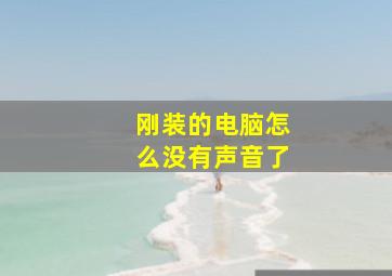 刚装的电脑怎么没有声音了