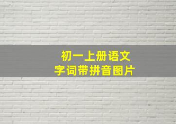 初一上册语文字词带拼音图片