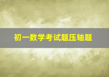 初一数学考试题压轴题