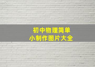 初中物理简单小制作图片大全