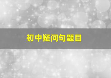 初中疑问句题目