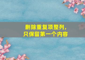 删除重复项整列,只保留第一个内容