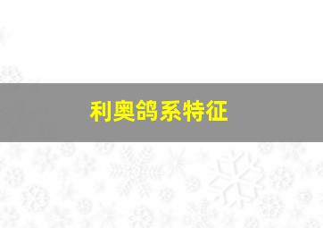 利奥鸽系特征