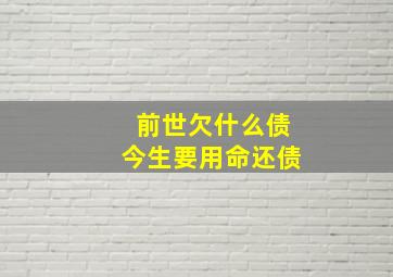 前世欠什么债今生要用命还债