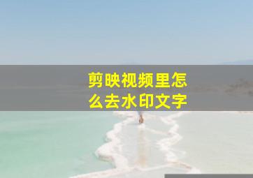 剪映视频里怎么去水印文字