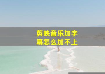 剪映音乐加字幕怎么加不上