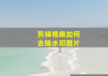 剪辑视频如何去除水印图片