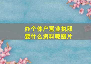 办个体户营业执照要什么资料呢图片