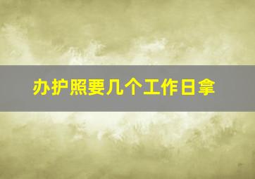 办护照要几个工作日拿