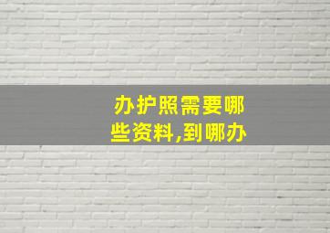 办护照需要哪些资料,到哪办