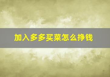 加入多多买菜怎么挣钱