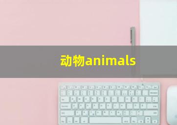 动物animals