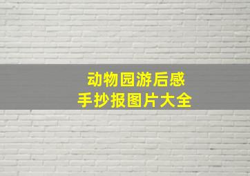 动物园游后感手抄报图片大全