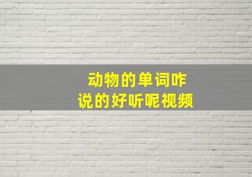 动物的单词咋说的好听呢视频