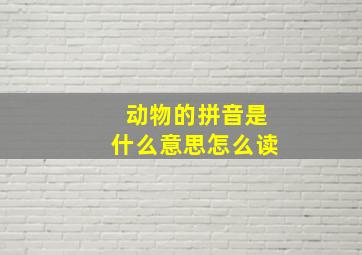 动物的拼音是什么意思怎么读