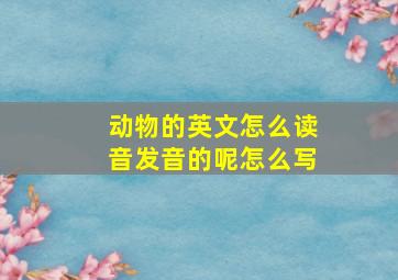 动物的英文怎么读音发音的呢怎么写