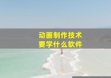 动画制作技术要学什么软件