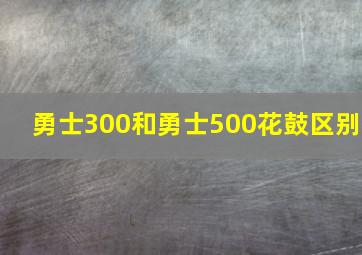 勇士300和勇士500花鼓区别