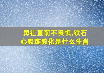 勇往直前不畏惧,铁石心肠难教化是什么生肖