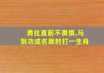 勇往直前不畏惧,马到功成名就时打一生肖