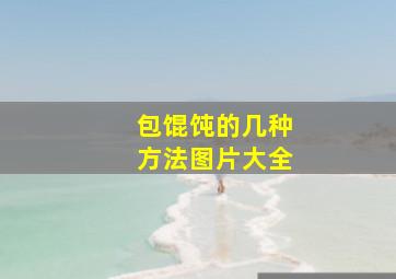 包馄饨的几种方法图片大全