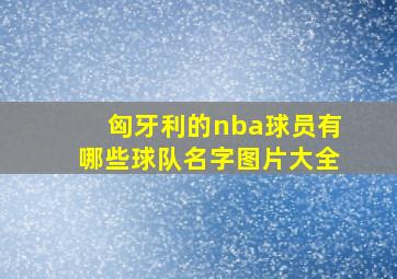 匈牙利的nba球员有哪些球队名字图片大全