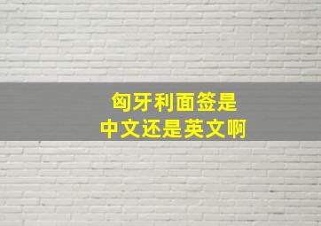 匈牙利面签是中文还是英文啊