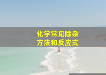 化学常见除杂方法和反应式