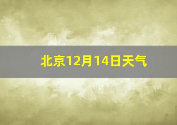 北京12月14日天气