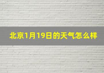 北京1月19日的天气怎么样