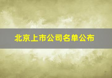 北京上市公司名单公布