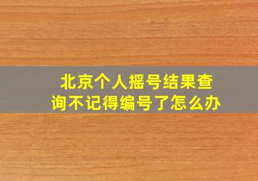 北京个人摇号结果查询不记得编号了怎么办