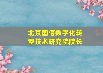 北京国信数字化转型技术研究院院长