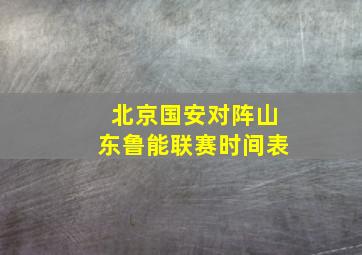 北京国安对阵山东鲁能联赛时间表