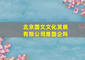 北京国文文化发展有限公司是国企吗