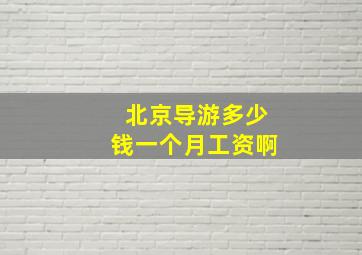 北京导游多少钱一个月工资啊