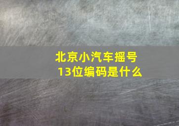 北京小汽车摇号13位编码是什么