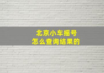 北京小车摇号怎么查询结果的