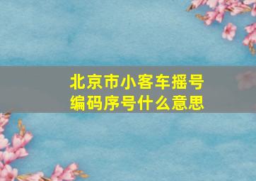 北京市小客车摇号编码序号什么意思