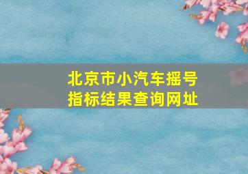 北京市小汽车摇号指标结果查询网址